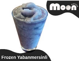 Frozen Yabanmersinli
